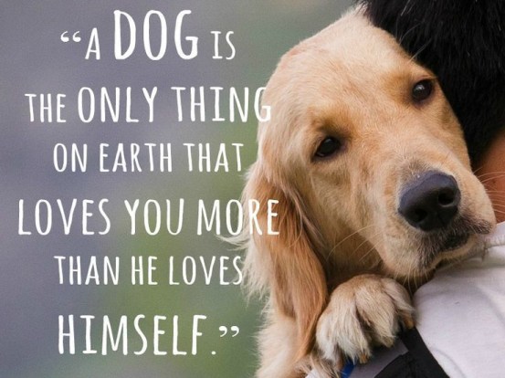 4a6ba1b7185fa016c8296a38111110aa