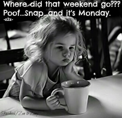 Monday Meme 9