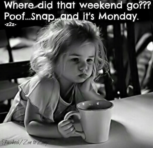 Monday Meme 9